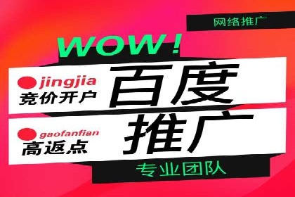 百度竞价托管公司经典案例集锦：策略与实践的完美结合